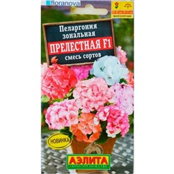 Семена цветов Пеларгония «Прелестная», F1