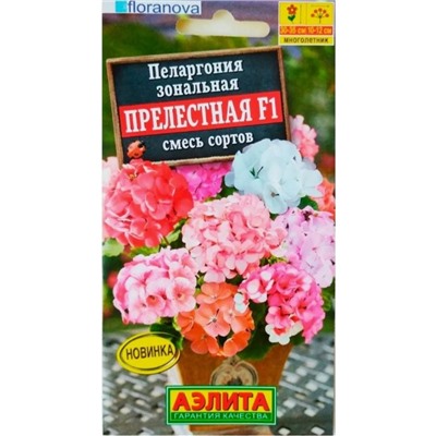 Семена цветов Пеларгония «Прелестная», F1