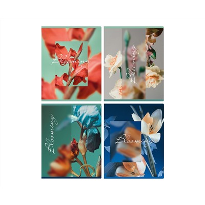 Тетрадь 48л., А5, клетка BG "Blooming", матовая ламинация