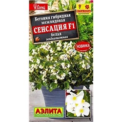 Семена Бегония Сенсация F1 белая зеленолистная, арт.: 12247