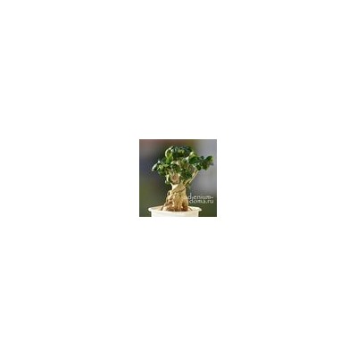 Подвеска КЛЕВЕР I бронза (Trifolium)