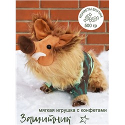 Защитник-2