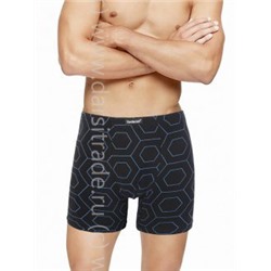 Трусы мужские GS8046 Gentlemen шорты