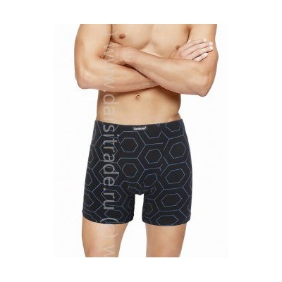 Трусы мужские GS8046 Gentlemen шорты