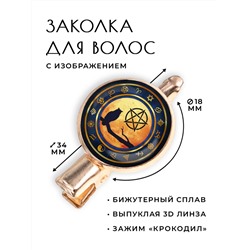 HZF-0178 Заколка Сова и пентаграмма
