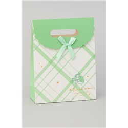 Пакет подарочный (XS) "Pattern plaid", green (16.5*12.5*6)