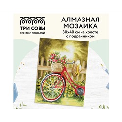 Алмазная мозаика ТРИ СОВЫ "Солнечный день", 30*40см, холст на деревянном подрамнике, картонная коробка с пластиковой ручкой