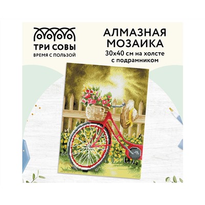 Алмазная мозаика ТРИ СОВЫ "Солнечный день", 30*40см, холст на деревянном подрамнике, картонная коробка с пластиковой ручкой