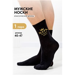 Носки мужские Просто царь
