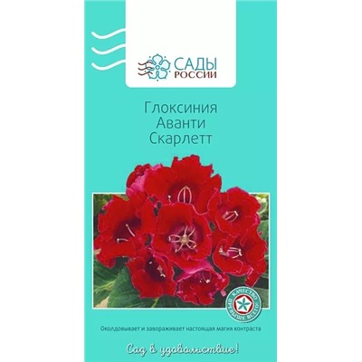 Глоксиния Аванти Скарлетт , арт.: 3615
