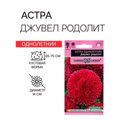 Семена Астра "Джувел Родолит", ц/п,  однолетняя,