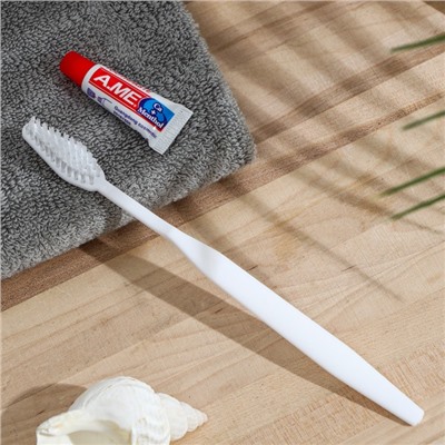 Зубной набор "Room" (зубная щетка 18 см., зубная паста 6 гр.) флоу-пак