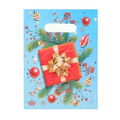 Пакет "Красный подарок", полиэтиленовый с вырубной ручкой, 19х25 см, 30 мкм