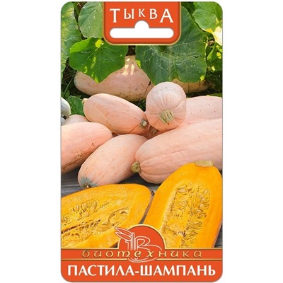 Тыква Пастила-Шампань