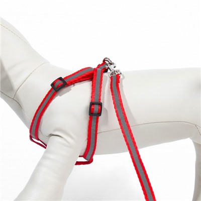 Комплект со светоотражающей лентой, ошейник 120×1 см, ОГ 26-40 см, красный