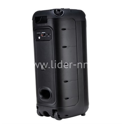 Колонка 10" (30-30 DANCE BOX 1200) динамик 2шт/10" ELTRONIC с TWS