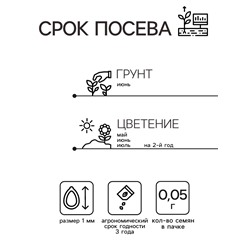 Семена Маргаритка Помпонная, смесь сортов   Дв Ц/П 0,05г