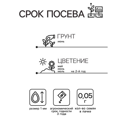 Семена Маргаритка Помпонная, смесь сортов   Дв Ц/П 0,05г