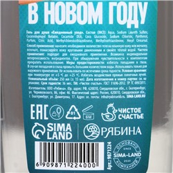 Гель для душа «Побед в Новом Году!», 250 мл, аромат мужского парфюма, Чистое счастье