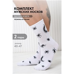 Носки мужские Сороконожка (набор 2 пары)