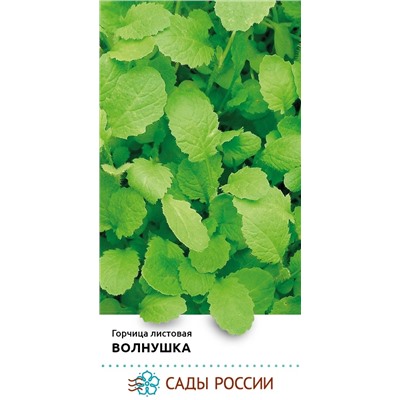 Семена Горчица листовая Волнушка, фасовка: 1 г, арт.: 74346