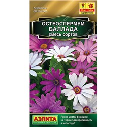 1470 Остеоспермум Баллада,смесь сортов 10шт