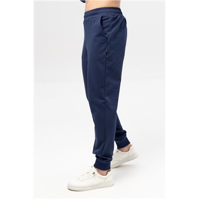 Брюки мужские 24-418M3-WB т.синий1