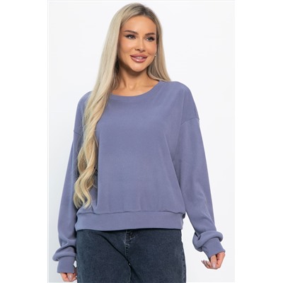 Свитшот Эфес (серый) Б14902-25М