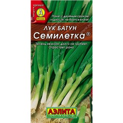 0493 Лук батун Семилетка 1гр