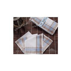 Носовые платки мужские 12 шт./уп. 30x30 см. SAH - Gozde