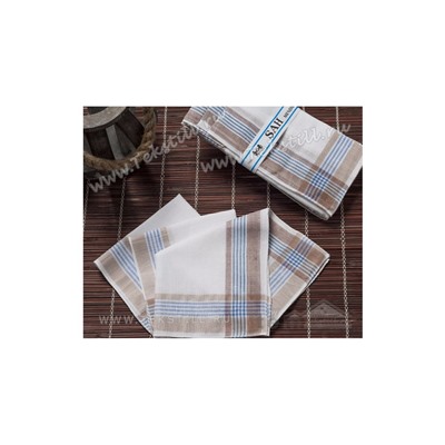 Носовые платки мужские 12 шт./уп. 30x30 см. SAH - Gozde