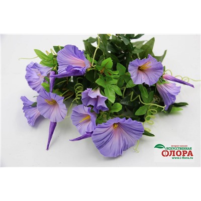 Букет Вьюн 7 стеблей (CH05005799)