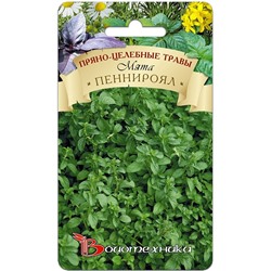 Мята Пеннироял