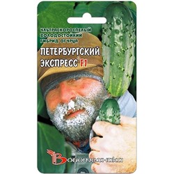 Семена Огурец Петербургский экспресс F1, арт.: 9501