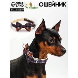 Ошейник "Джентельмен в клеточку", 40 х 1,5 см, коричневый