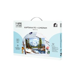Картина по номерам на холсте ТРИ СОВЫ "Оттепель", 30*40, с акриловыми красками и кистями