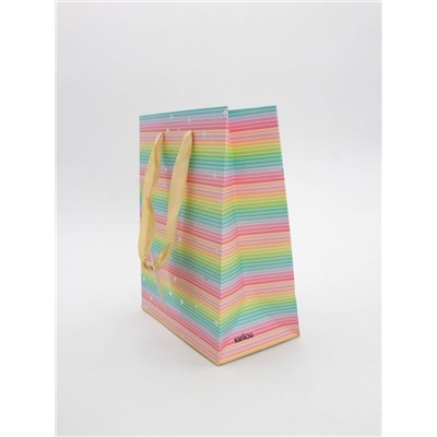 Пакет подарочный «Rainbow Gift», horizontal (18*23*10)