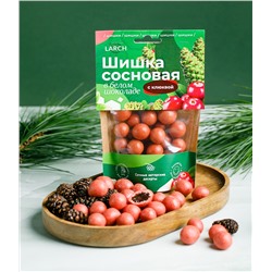 Шишка сосновая в белом шоколаде с Клюквой / дой пак / 60 г / LARCH
