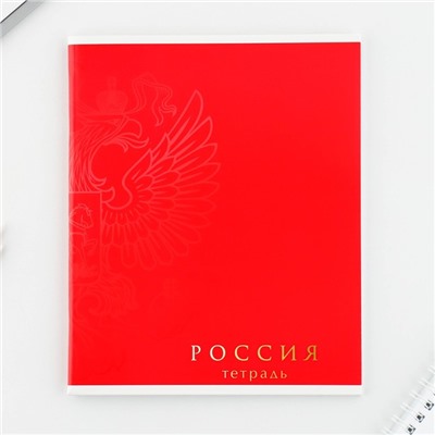 Тетрадь в клетку, 48 л., А5, на скрепке, блок №1 «Россия» МИКС