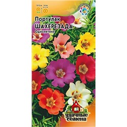 Семена Портулак Шахерезада, арт.: 4598