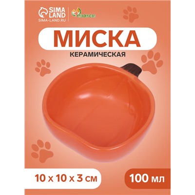 Миска керамическая для грызунов "Тыква" 10 х 10 х 4 см