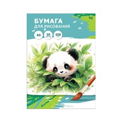 Папка для рисования А3, 10л., BG, 120г/м2