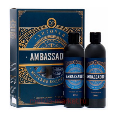Compliment Подарочный набор Q.P.Men Ambrassador Шампунь для волос 250мл+Гель для душа 250мл №1120