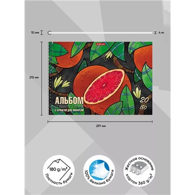 Альбом для рисования А4, 20 листов на спирали, ErichKrause Juicy Fruits, блок 120 г/м², 100% белизна, перфорация для отрыва, твёрдая подложка, МИКС