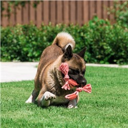 Игрушка канатная с жевательными элементами «Зубочистка», 45 см, микс цветов