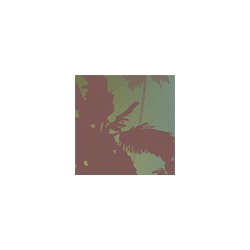 Купальник EC25 Sielei бандо слип