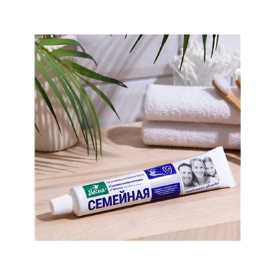 Зубная паста «Весна», классическая, для всей семьи, 90 г