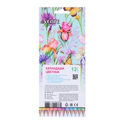 Карандаши цветные 12 цветов, deVENTE Trio Mega Soft Pastel, трёхгранный корпус, супер мягкие, 4M, грифель 3 мм, пастельные цвета