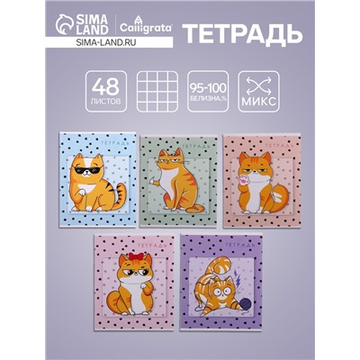 Тетрадь 48 листов в клетку, Calligrata «Коты», обложка мелованный картон, МИКС