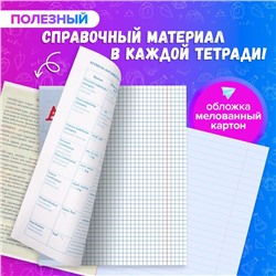 Набор предметных тетрадей А5, 36 листов, Сalligrata «Предметы», 10 предметов